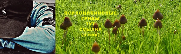 экстази Пересвет