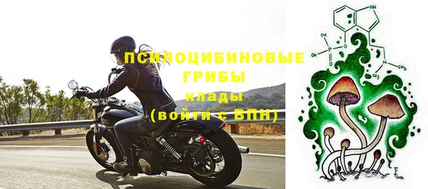 экстази Пересвет