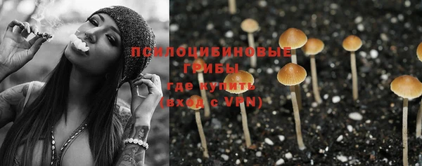 синтетический гашиш Ленинск