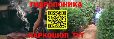 мяу мяу мука Комсомольск-на-Амуре