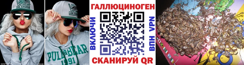 Галлюциногенные грибы Psilocybine cubensis  Рузаевка 