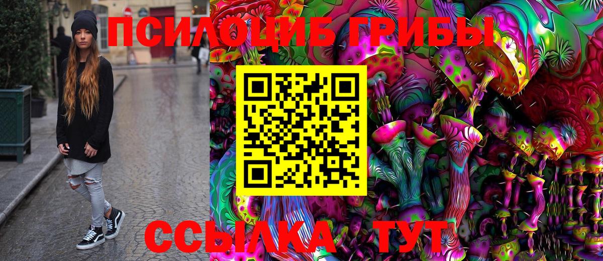 Галлюциногенные грибы MAGIC MUSHROOMS  Псилоцибиновые грибы мицелий  где купить   Рузаевка 
