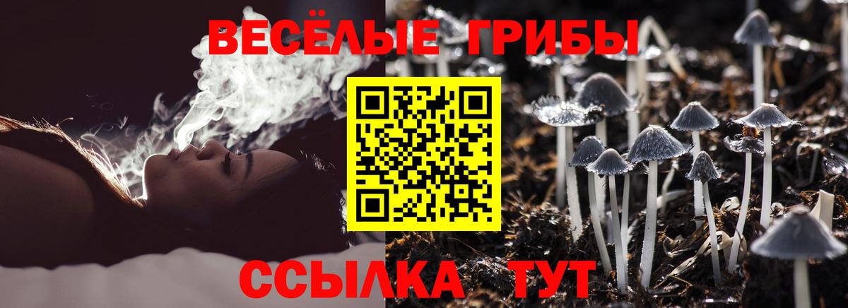 Псилоцибиновые грибы Psilocybe Рузаевка
